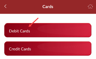 IndusInd Bank Mobile Banking Debit Cards section