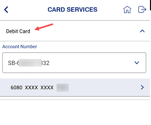 indian bank debit card check online