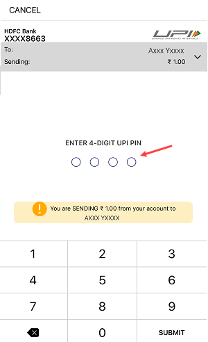 Next screen select your debit bank account from which you want to transfer the money and tap on the Pay button.